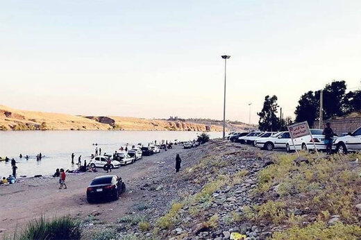 تعجب استاد دانشگاه لایبنیتز هانوفر؛ چرا در ایران با خودرو تا رودخانه و ساحل می‌روند؟! + فیلم