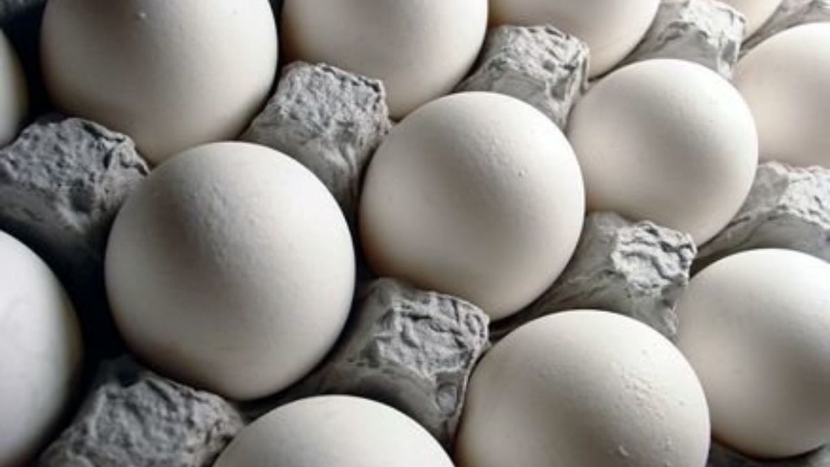 قیمت انواع تخم مرغ در میادین شهرداری