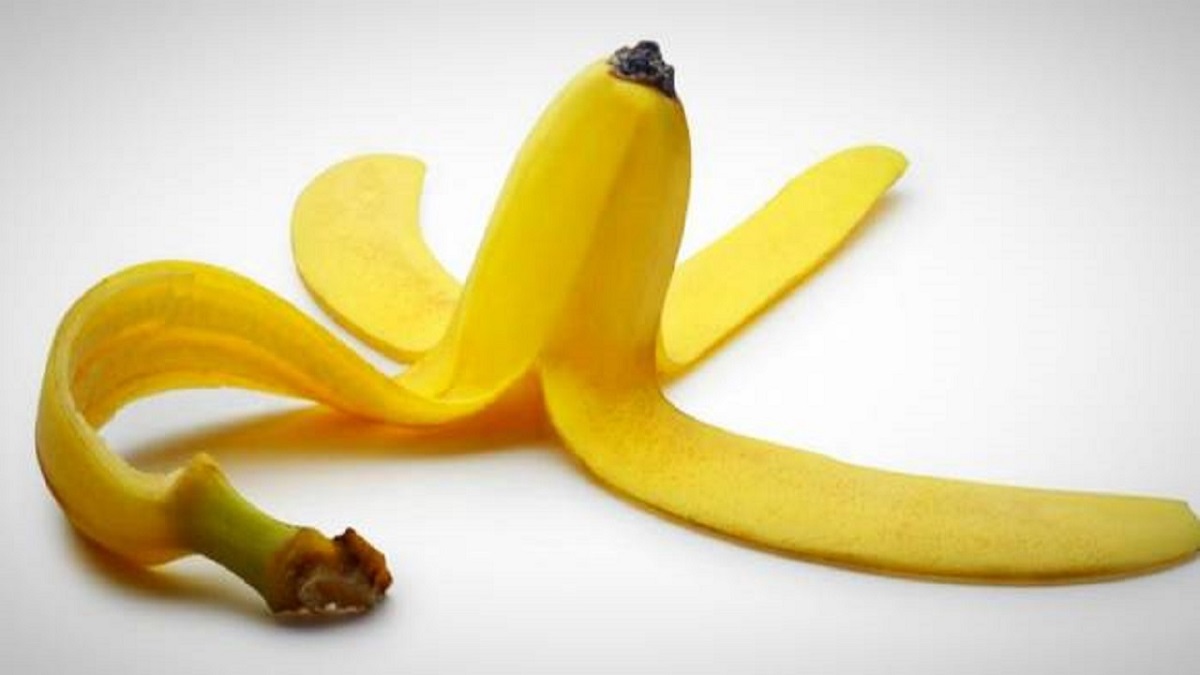 تناسب اندام و رژیم غذایی تناسب اندام و رژیم غذایی