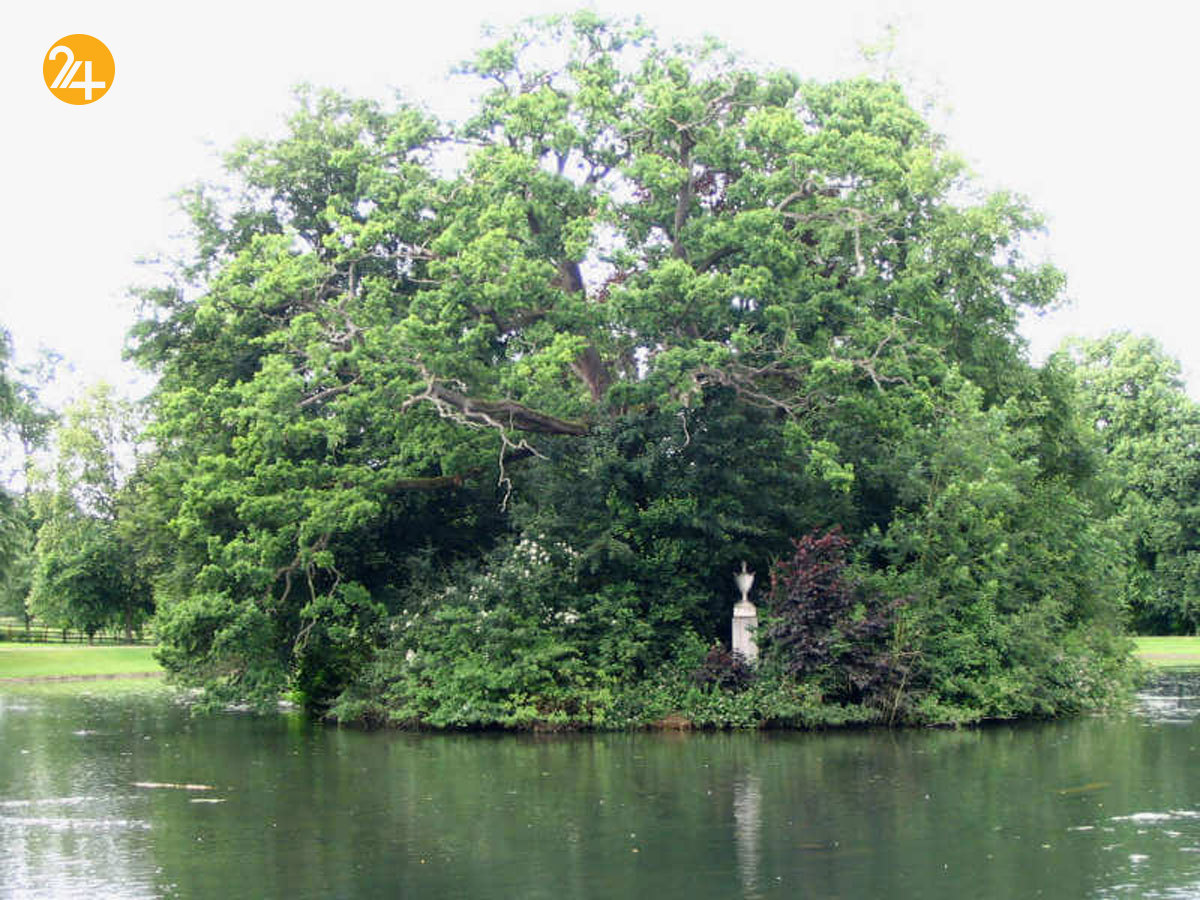 قبر چهرههای مشهور جهان قبر چهرههای مشهور جهان