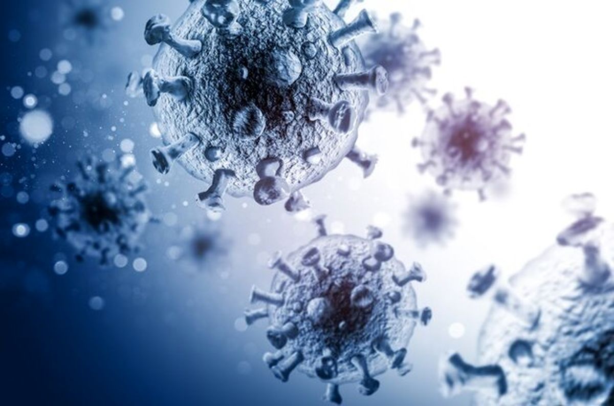 لانگیا چیست لانگیا چیست