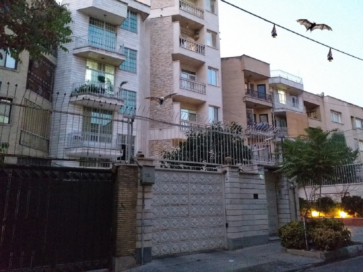 حمله خفاشها به تهران حمله خفاشها به تهران