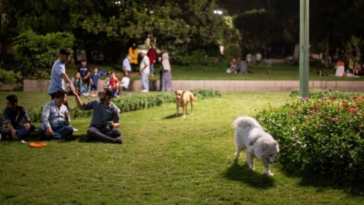 پلیس: شهروندان اجازه ندارند سگ به پارک‌ها بیاورند