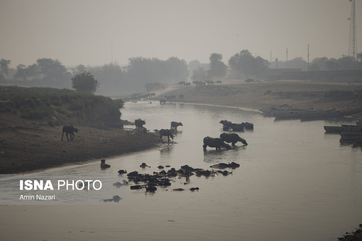 هورالعظیم در آتش