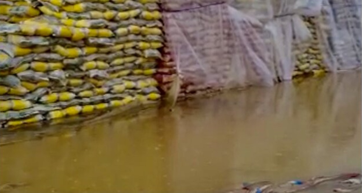 جزییات تازه از ماجرای برنجهای بارانزده جزییات تازه از ماجرای برنجهای بارانزده