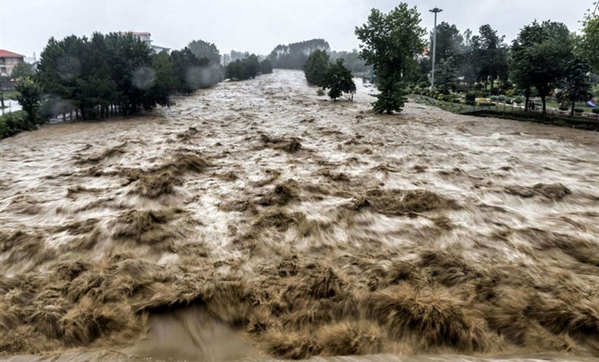 مرگ ماهی‌ها در سیل الیگودرز +فیلم