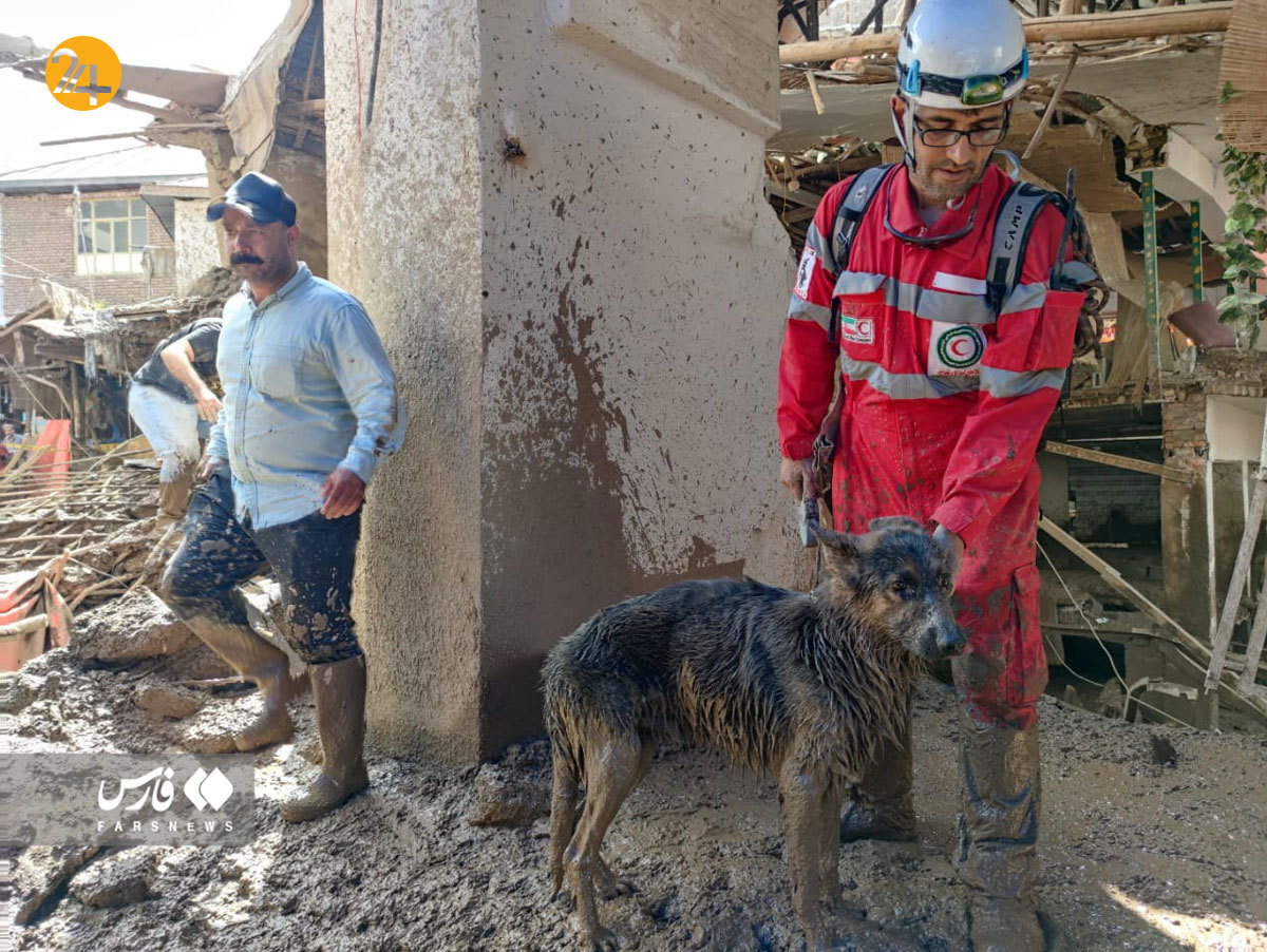 امدادرسانی به مفقودین امام‌زاده داوود توسط سگ‌های زنده‌یاب