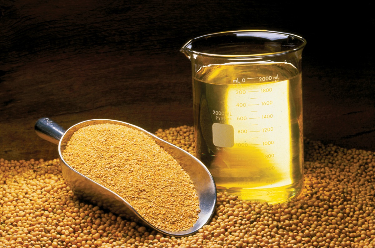 روغن سویا روغن سویا