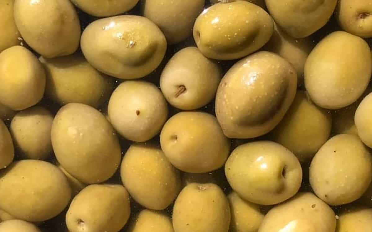 قیمت انواع زیتون در میادین