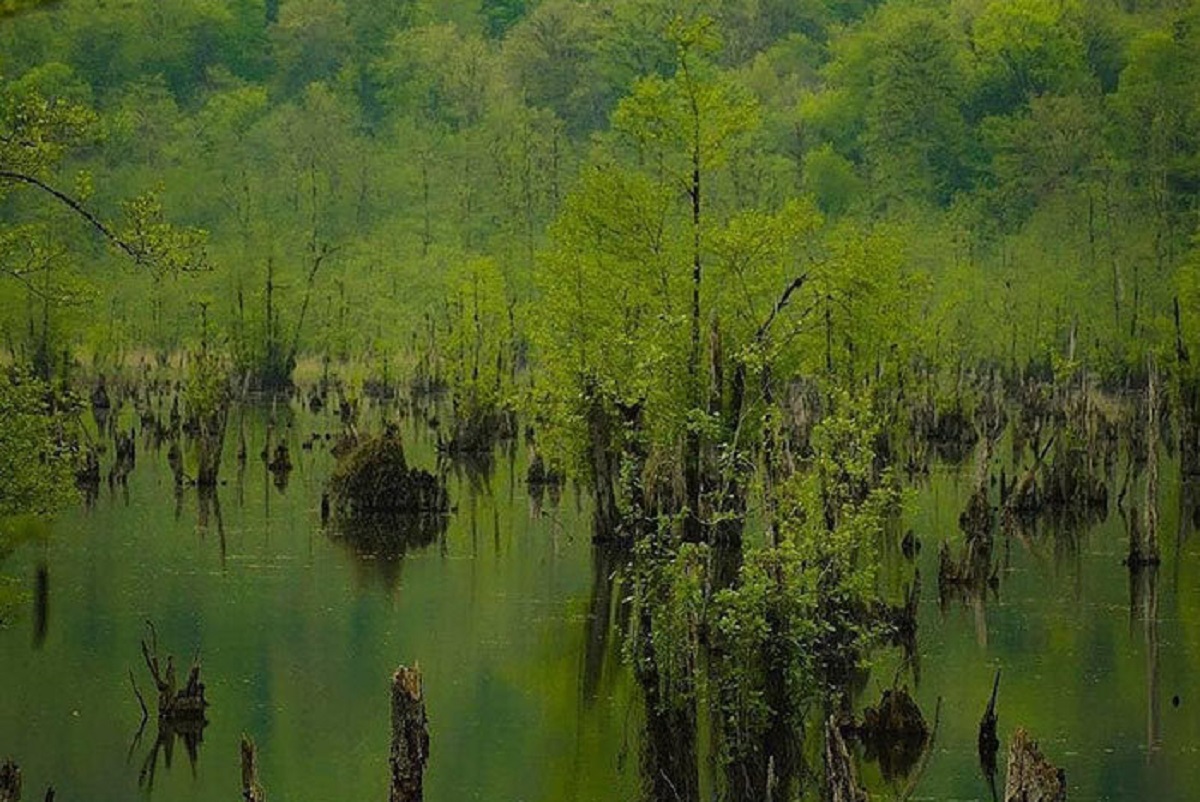 دریاچه ارواح استان مازندران