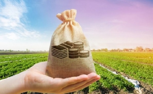 بهترین جا برای خرید زمین کجاست؟