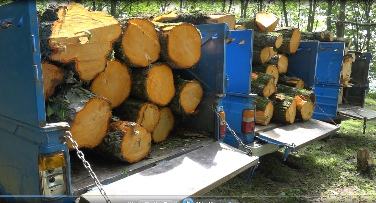 حمله وحشیانه قاچاقچیان چوب به نگهبانان ایست بازرسی +فیلم حمله وحشیانه قاچاقچیان چوب به نگهبانان ایست بازرسی +فیلم