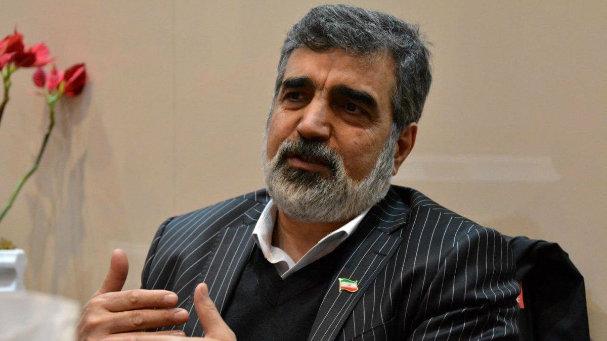 خلاء نظارتی مورد ادعای آژانس مبنای حقوقی ندارد/ ایران پاسخ سوالات آژانس را داده است