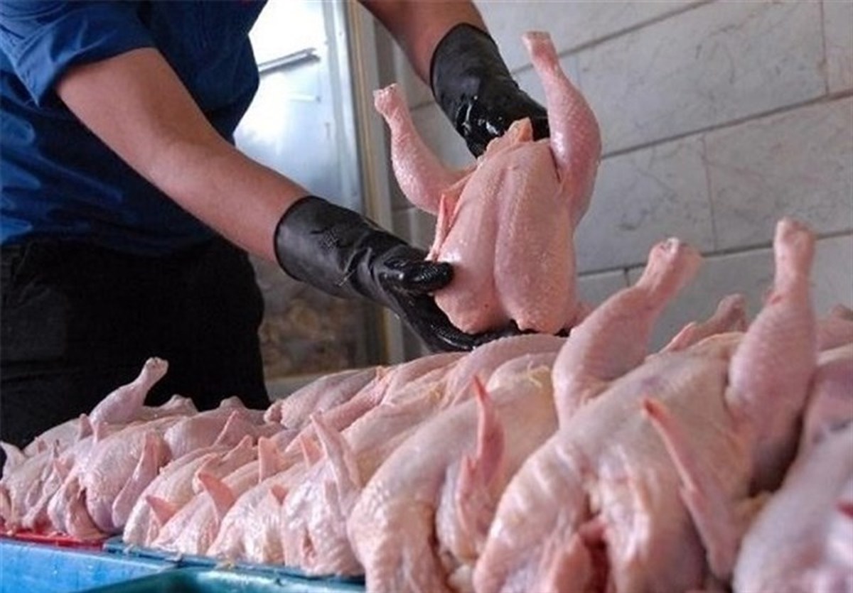 قیمت گوشت مرغ در سراشیبی سقوط