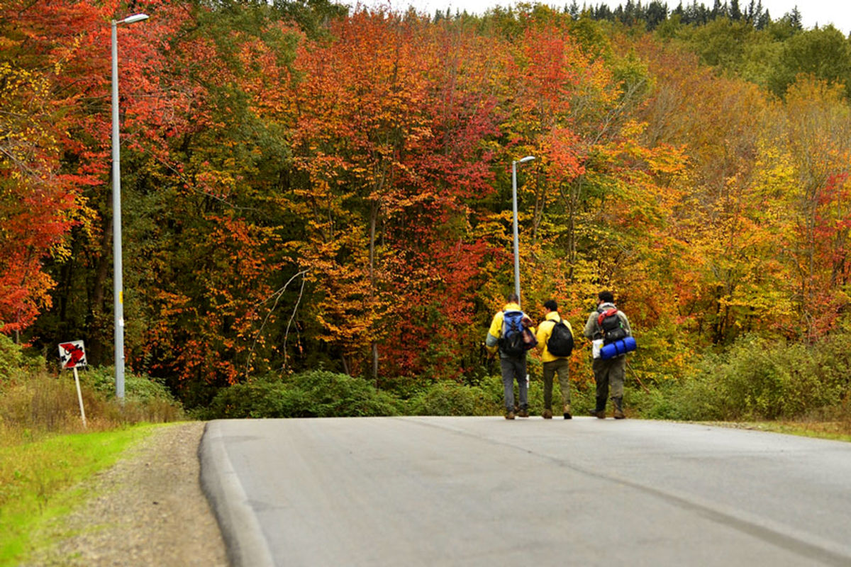 جنگل النگدره گرگان