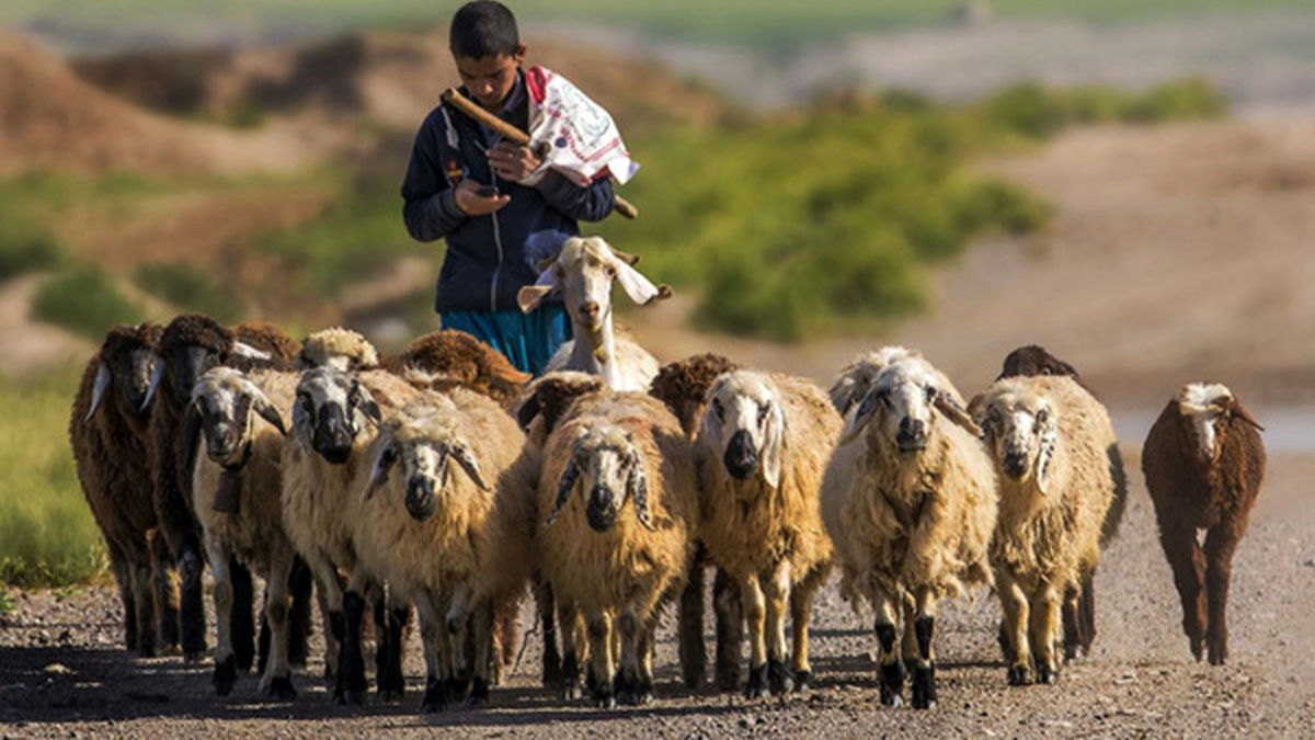 نقشه سیاه پسر چوپان برای خانم مدل اینستاگرامی! نقشه سیاه پسر چوپان برای خانم مدل اینستاگرامی!