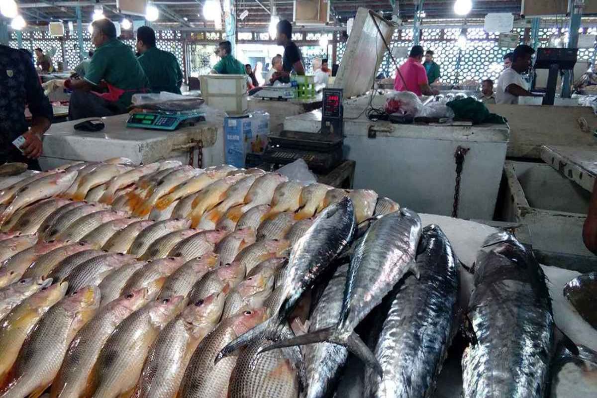 قیمت انواع ماهی در بازار +جدول