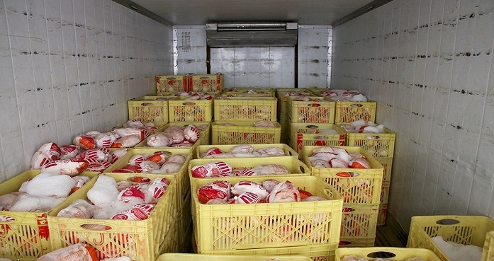 قیمت جدید مرغ