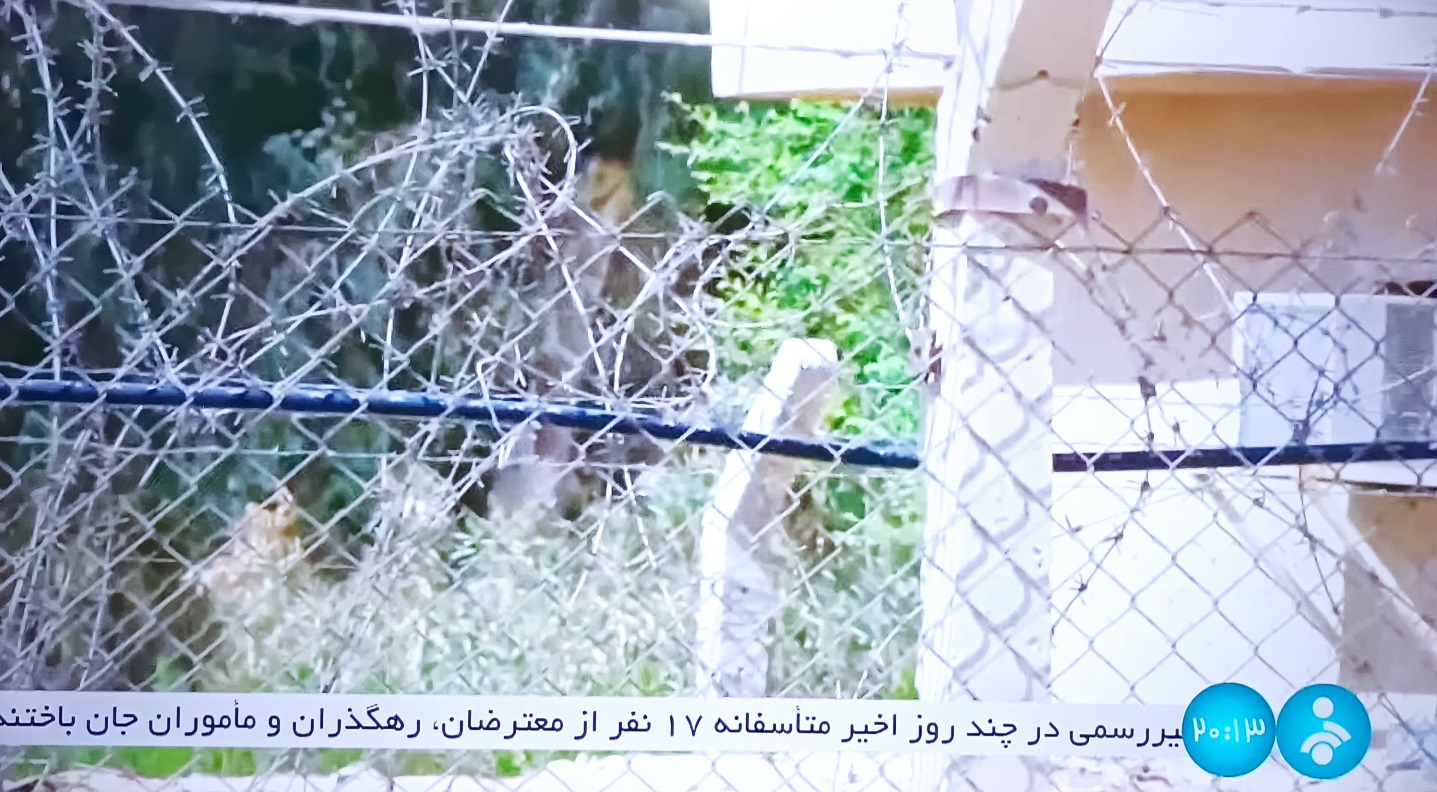 اعتراضات مردمی