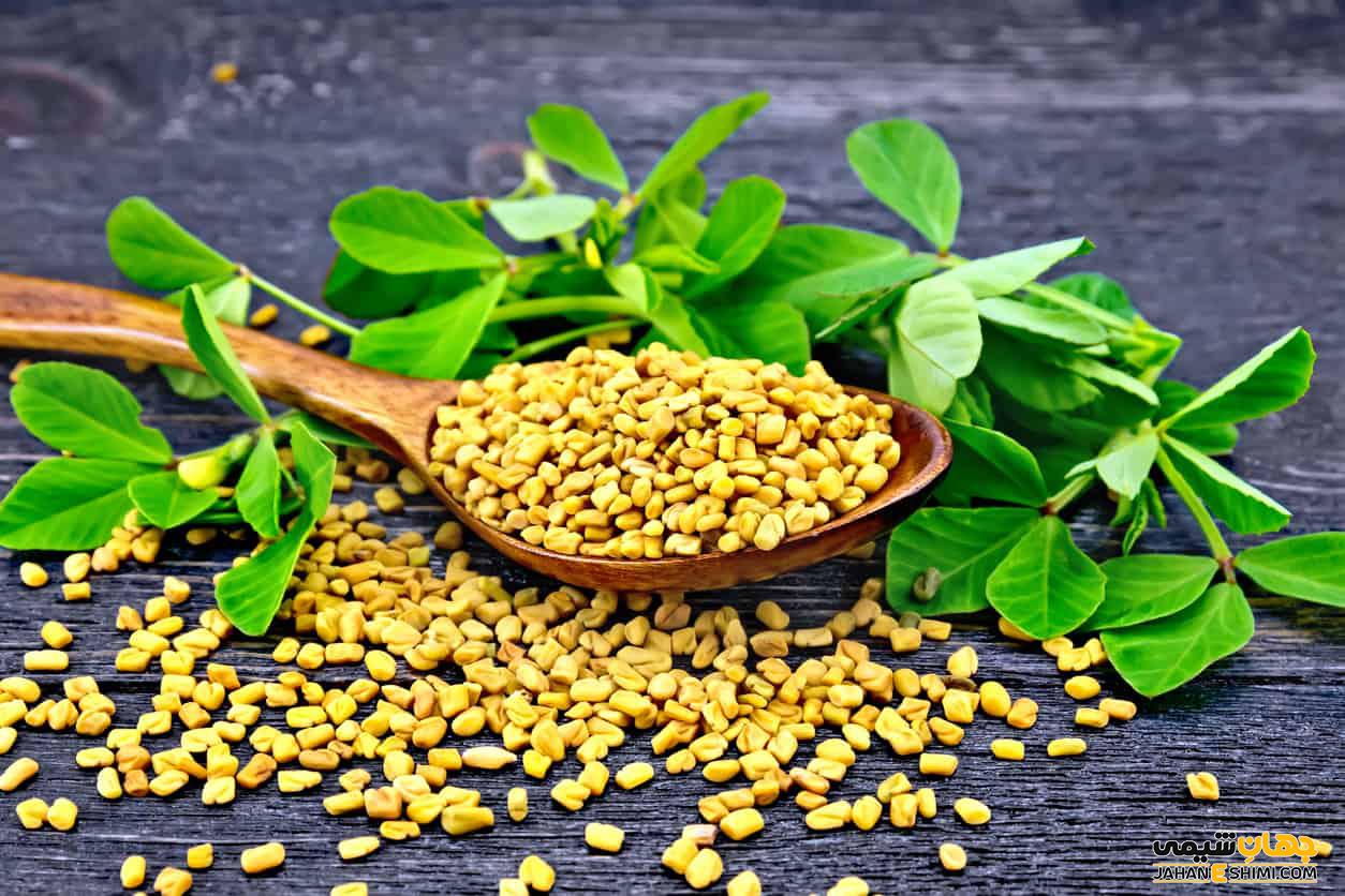 مو‌هایی ضخیم و پرپشت با یک گیاه معجزه آسا