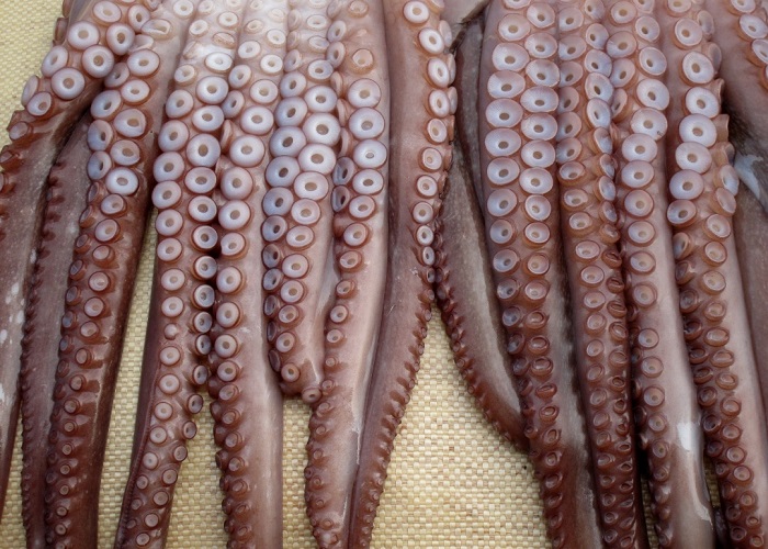 مرگبارترین غذاهای جهان کدامند؛ از قلب مار کبری تا خفاش زنده مرگبارترین غذاهای جهان کدامند؛ از قلب مار کبری تا خفاش زنده