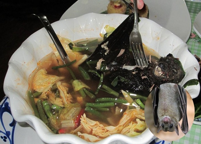 مرگبارترین غذاهای جهان کدامند؛ از قلب مار کبری تا خفاش زنده مرگبارترین غذاهای جهان کدامند؛ از قلب مار کبری تا خفاش زنده