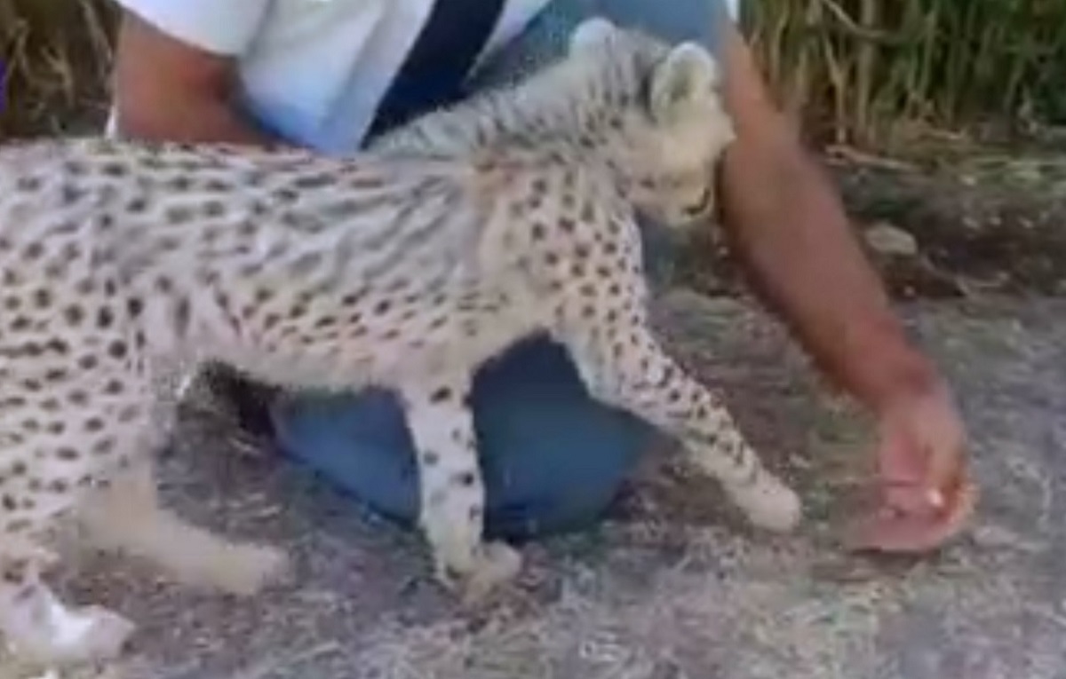 جدیدترین فیلم از پیروز بعد از شایعه ربوده شدن +فیلم