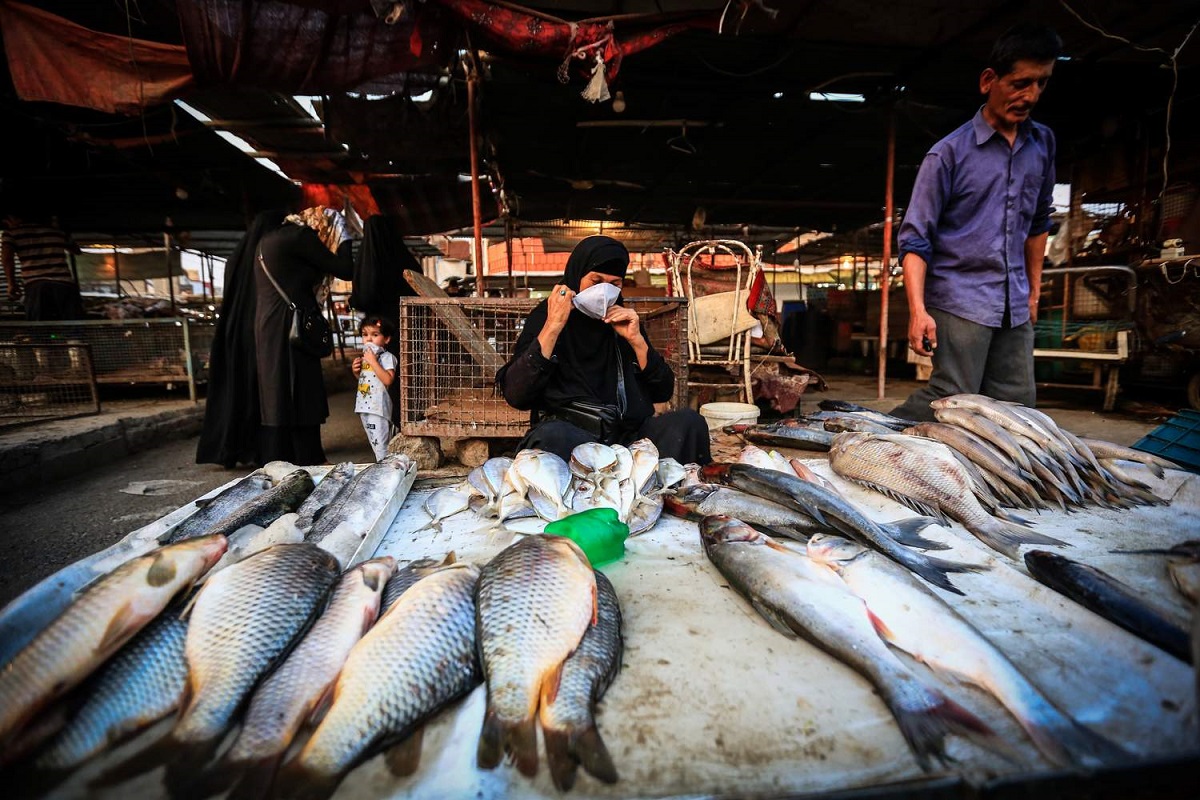 قیمت انواع ماهی در بازار +جدول قیمت انواع ماهی در بازار +جدول