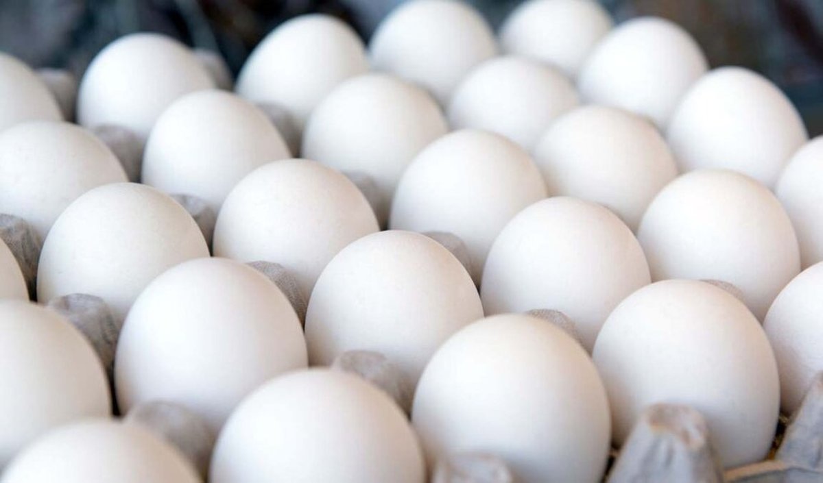 هر شانه تخم‌مرغ چند؟