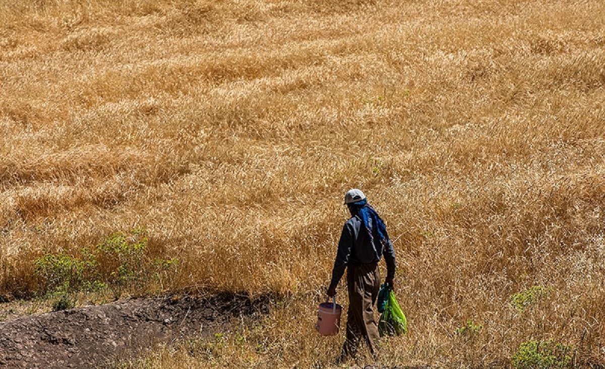 مهاجرت از ایران