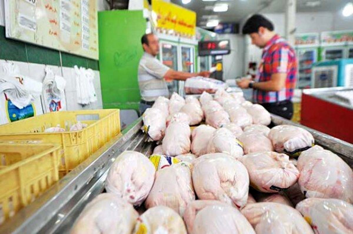 قیمت جدید مرغ قیمت جدید مرغ