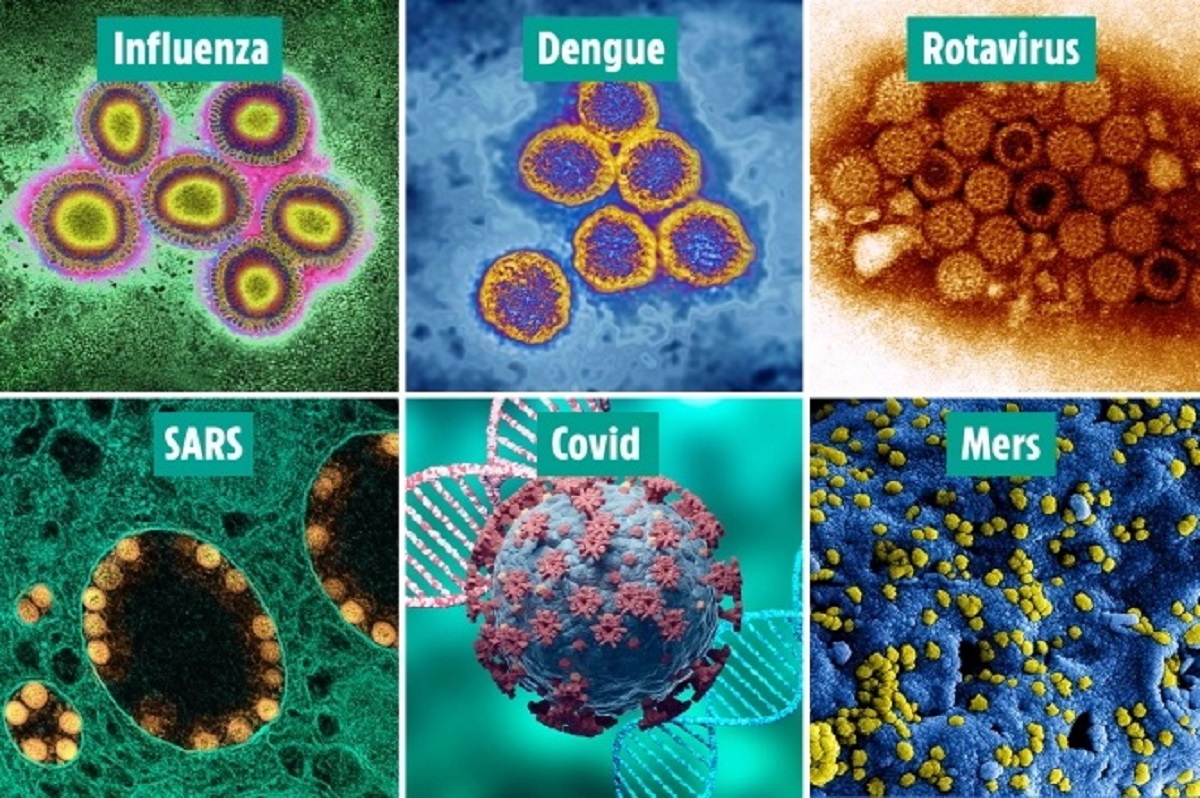 مرگبارترین ویروس‌ها