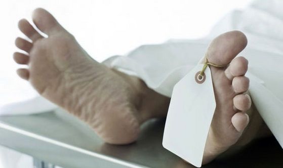 اخبار حوادث