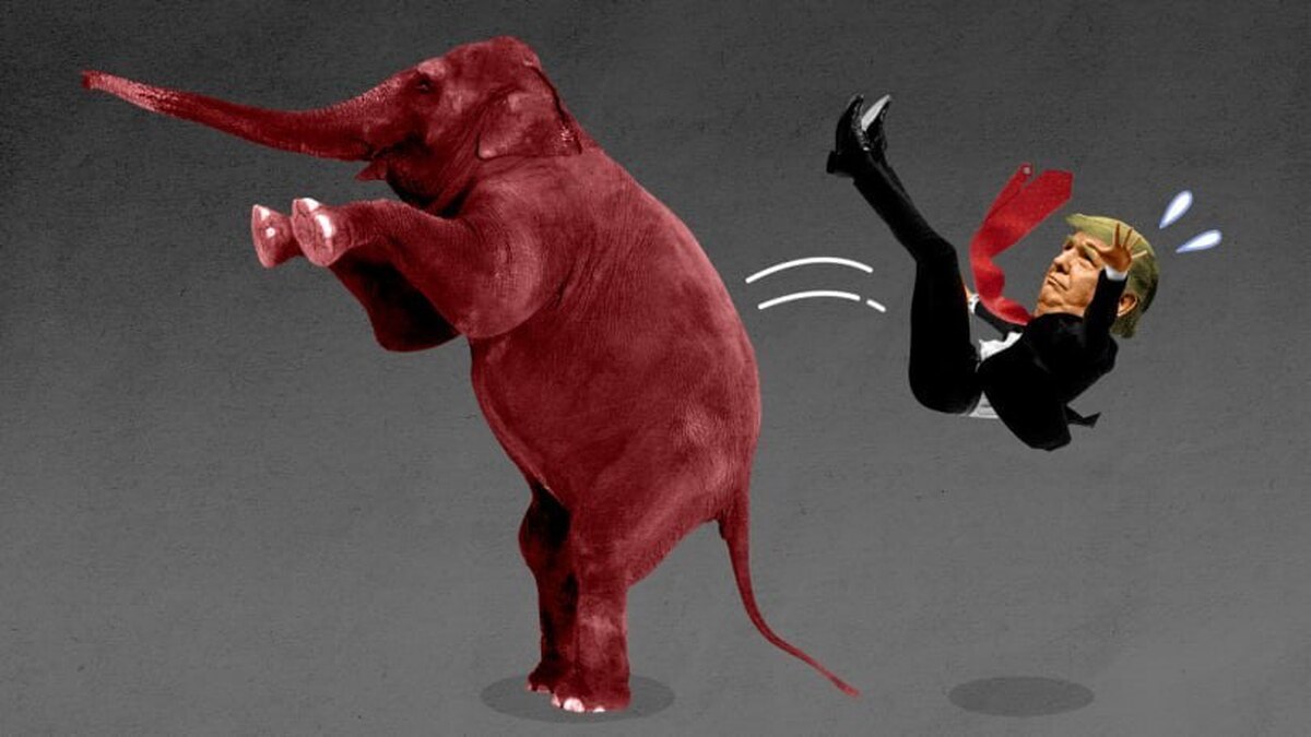 جمهوری خواهان