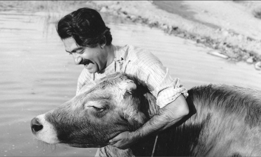 تاریخ سینمای ایران و بررسی فیلم هر کارگردان در سال‌های مختلف