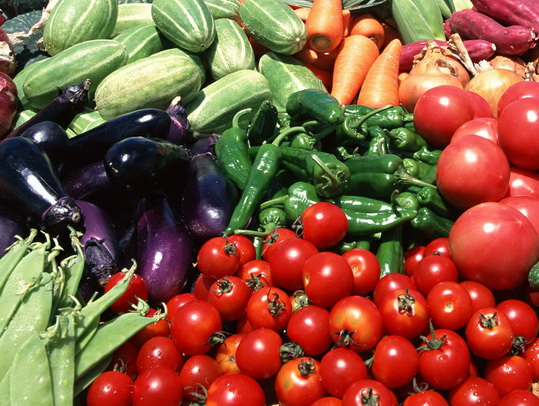 محصولات جالیزی محصولات جالیزی