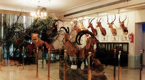 جاذبه گردشگری موزه حیات وحش هفت چنار جاذبه گردشگری موزه حیات وحش هفت چنار