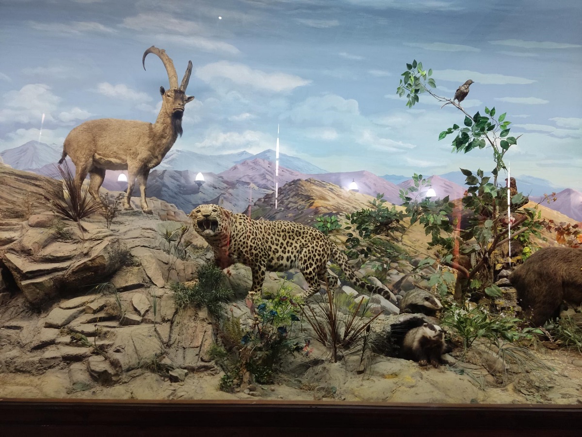 جاذبه گردشگری موزه حیات وحش هفت چنار جاذبه گردشگری موزه حیات وحش هفت چنار