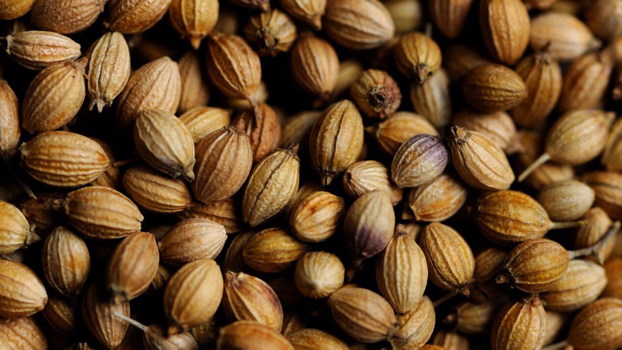 آنچه در مورد خواص تخم گشنیز باید بدانید آنچه در مورد خواص تخم گشنیز باید بدانید