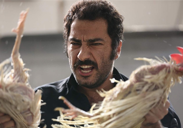 معرفی بهترین فیلم های نوید محمد زاده