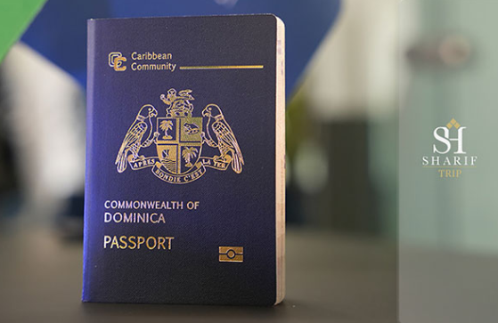 با پاسپورت دومینیکا به آمریکا مهاجرت کنید
