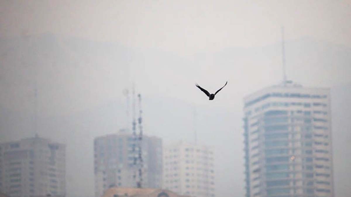 اخبار هواشناسی