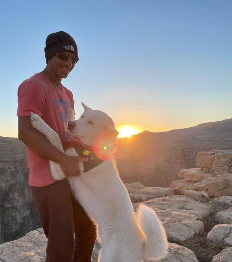 حسام موسوی کیست