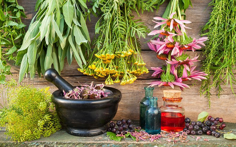 درباره عصاره چای سبز و سایر گیاهان دارویی چه می دانید؟