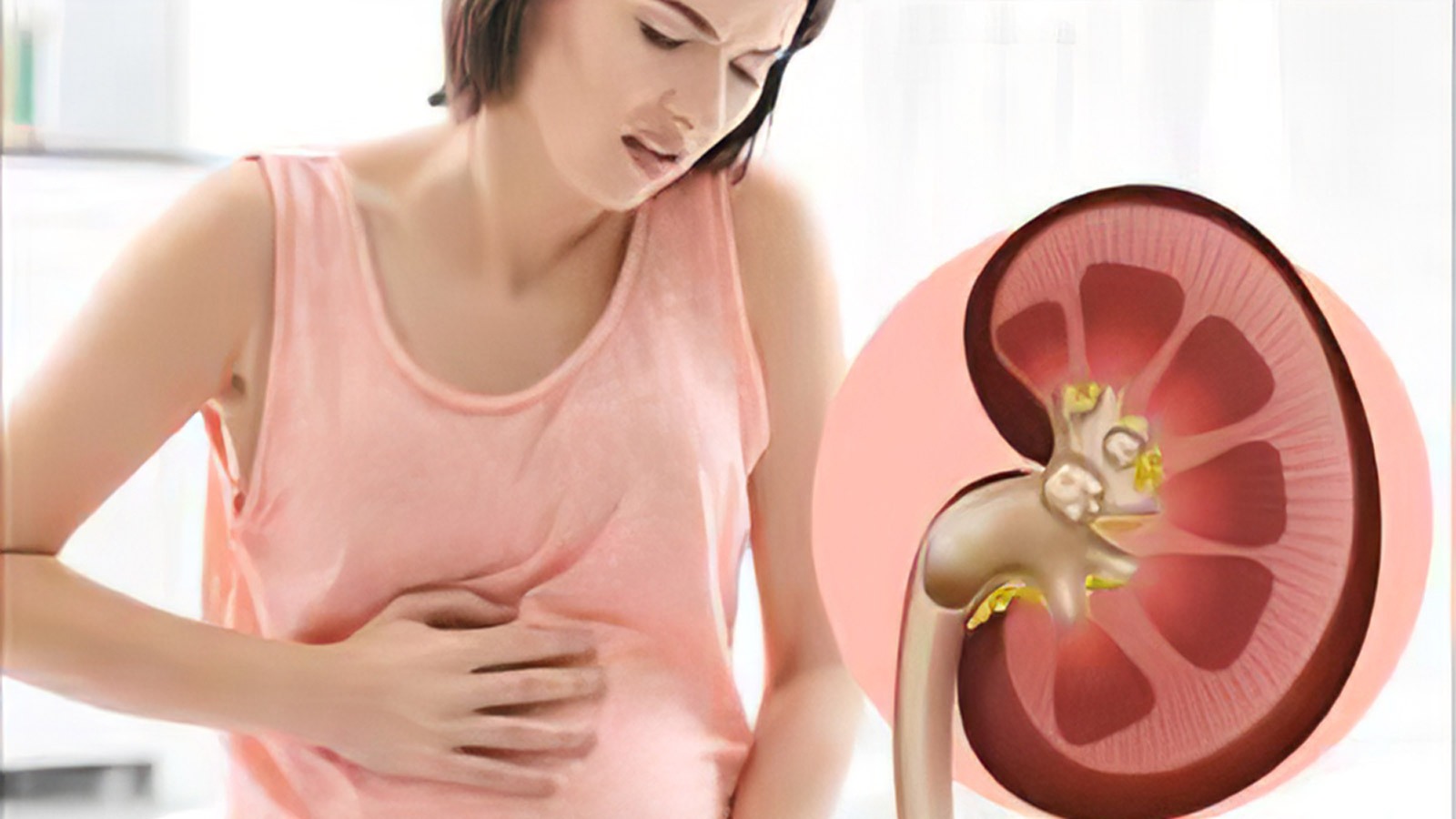 درمان کلیه از کار افتاده در طب سنتی درمان کلیه