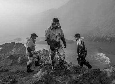 تصاویر منتخب مسابقه عکاسی ورلدپرس