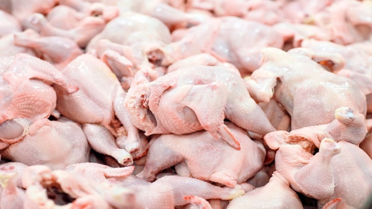 علت افزایش قیمت مرغ مشخص شد