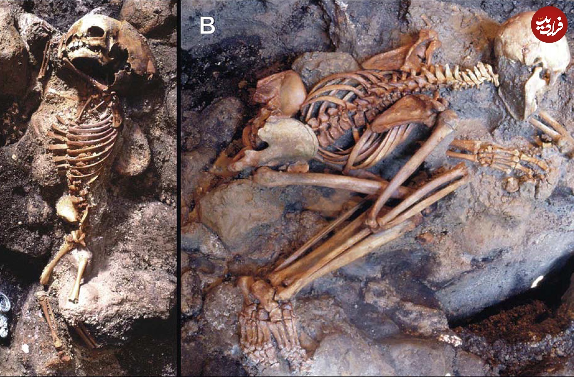 هرکولانیوم؛ شهری باستانی که مردمش «تبخیر» شدند هرکولانیوم؛ شهری باستانی که مردمش «تبخیر» شدند