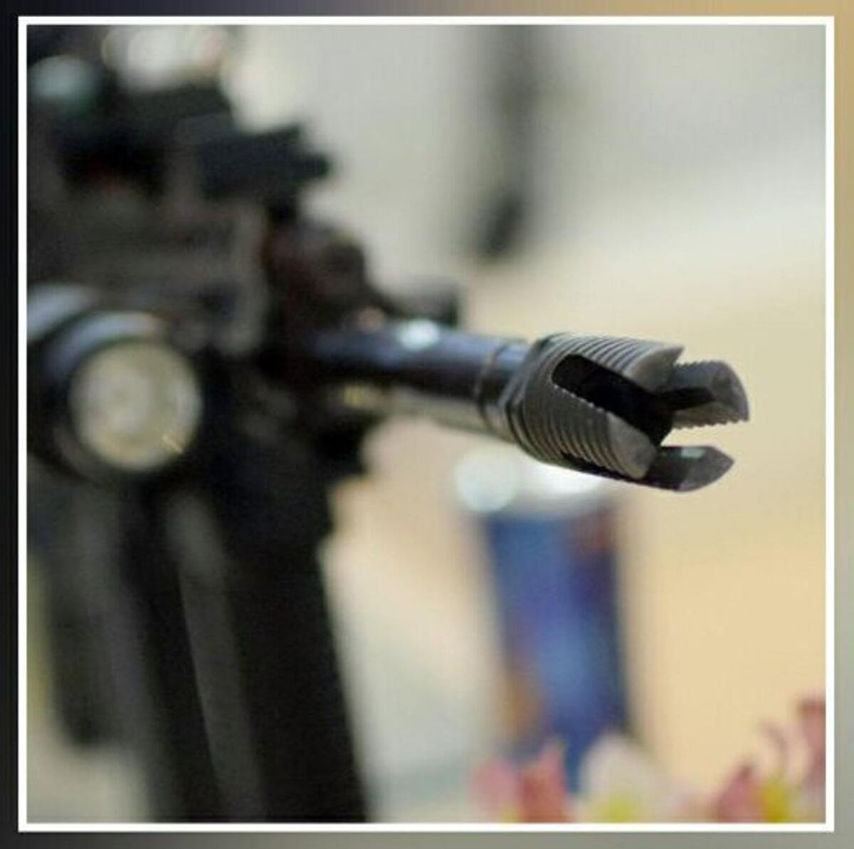 اسلحه‌ای تازه به ارتش می‌آید؛ جایگزین ژ۳ چیست؟ +‌فیلم