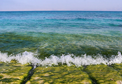 جزیره «مارو» در دل خلیج فارس